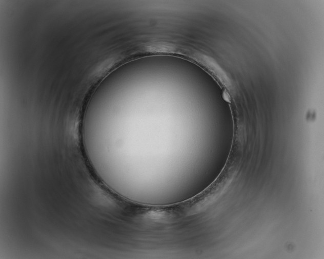 X0000103330441200809051213