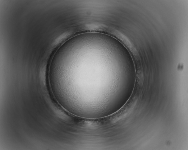 X0000103330442200809051213