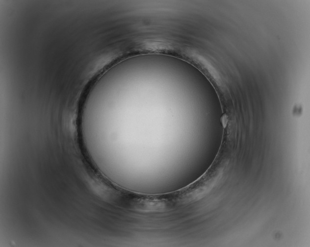 X0000103330443200809051213