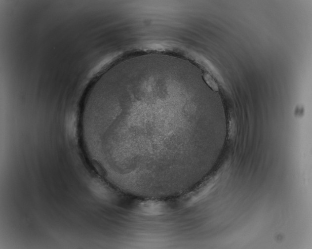 X0000103330444200809051213