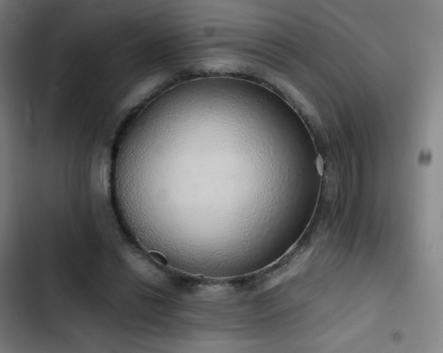 X0000103330446200809051213