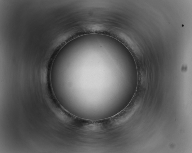 X0000103330447200809051213