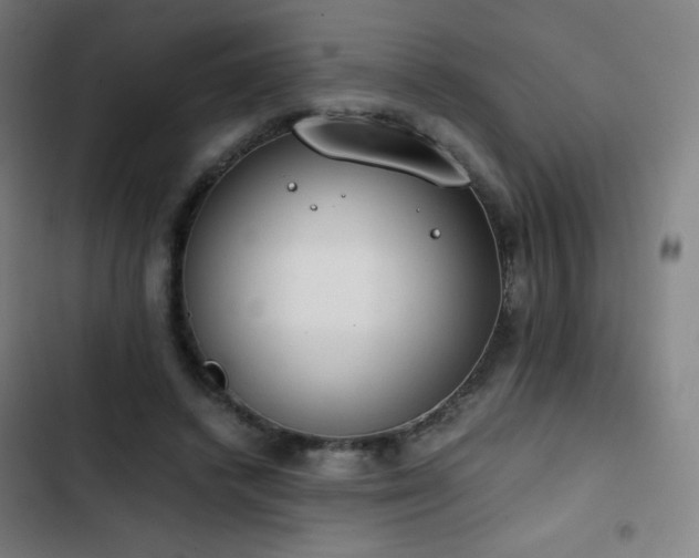 X0000103330448200809051213