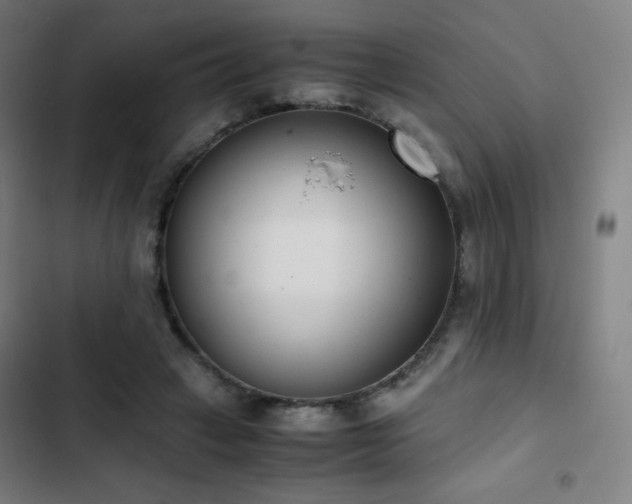 X0000103330449200809051213