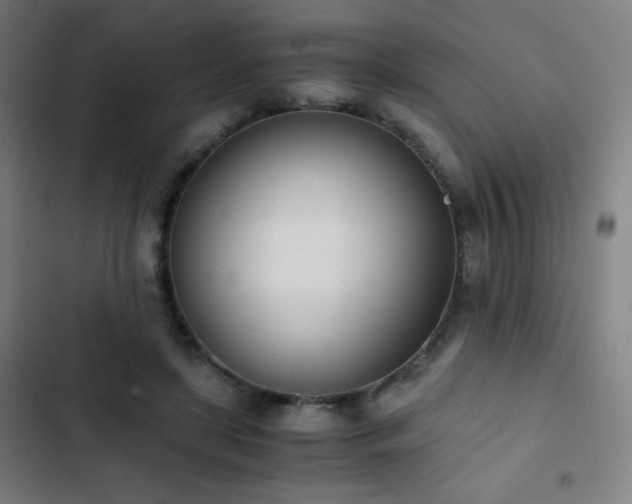 X0000103330451200809051213