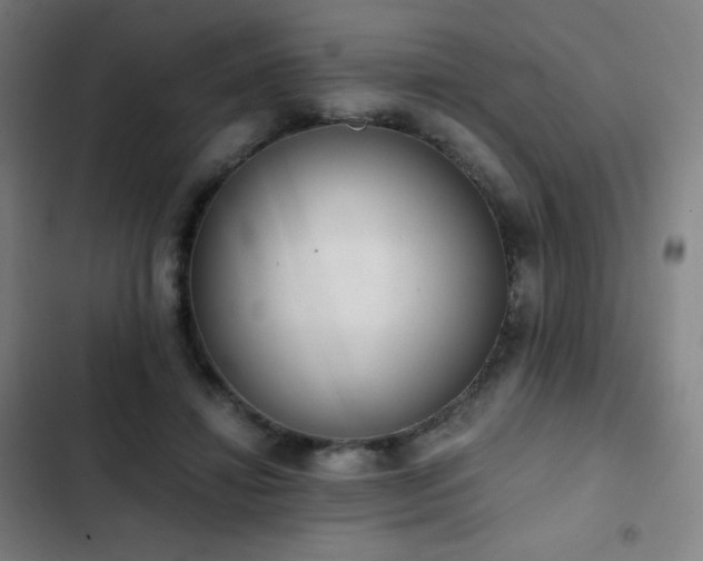 X0000103330452200809051213