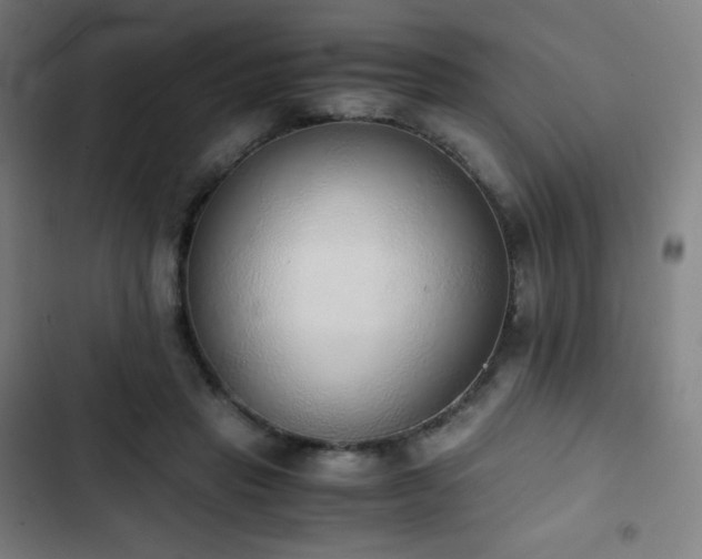 X0000103330453200809051213