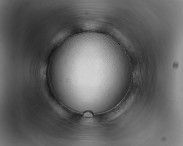 X0000103330454200809051213