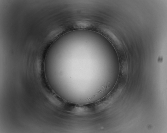 X0000103330455200809051213