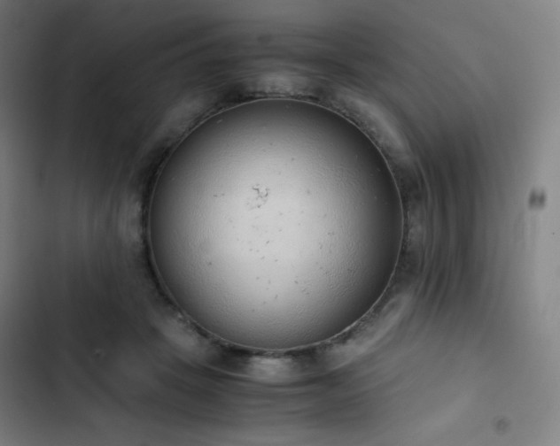 X0000103330457200809051213