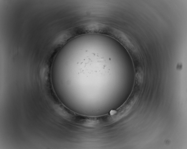 X0000103330458200809051214