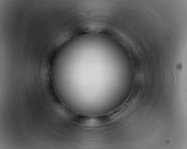 X0000103330460200809051214