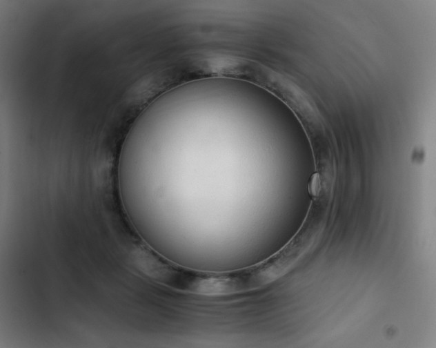 X0000103330461200809051214