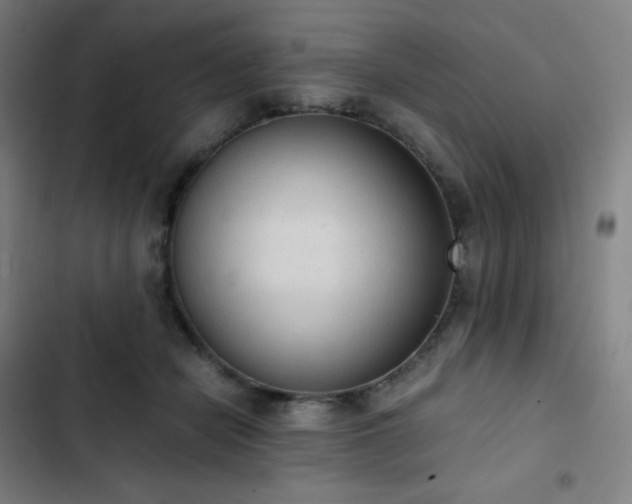 X0000103330462200809051214