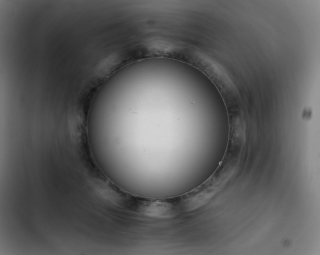 X0000103330463200809051214