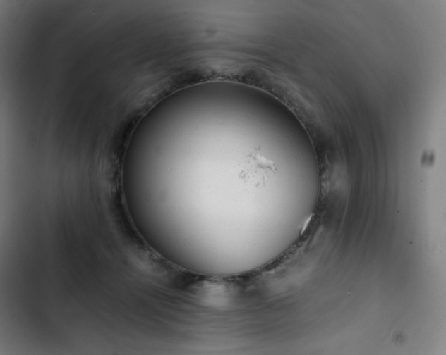 X0000103330464200809051214