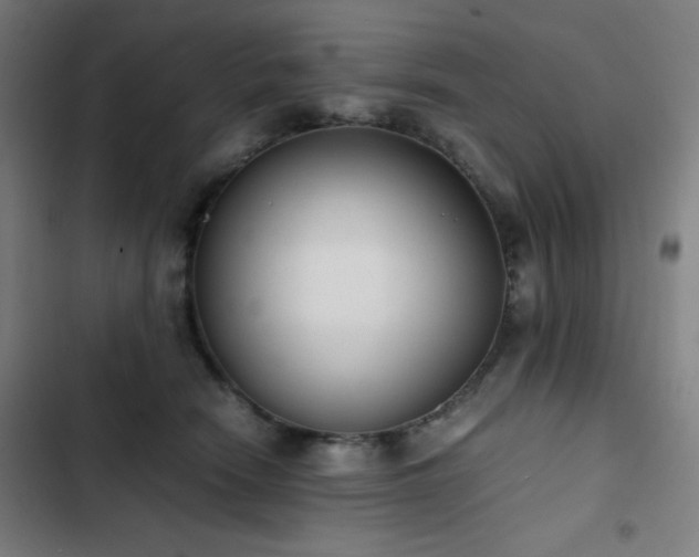 X0000103330466200809051214