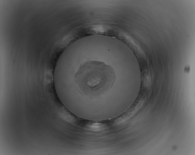 X0000103330467200809051214