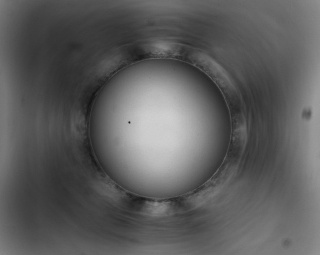 X0000103330469200809051214