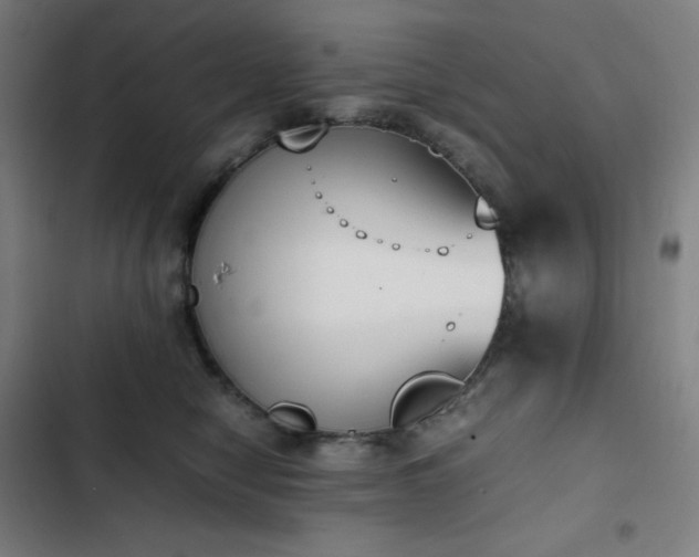 X0000103330470200809051214