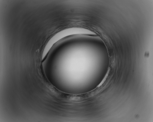 X0000103330471200809051214