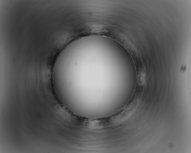 X0000103330472200809051214