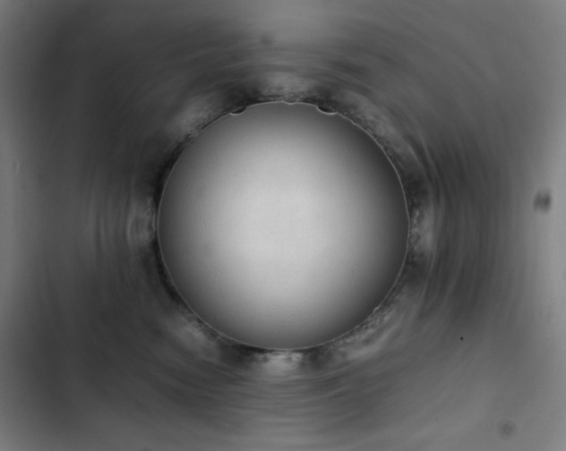 X0000103330474200809051214