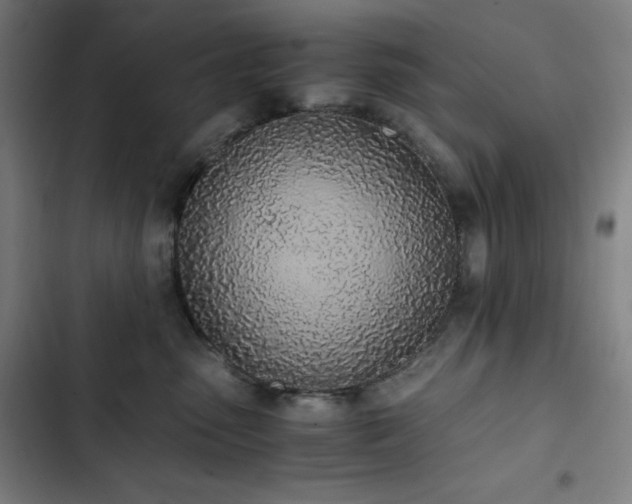 X0000103330475200809051214