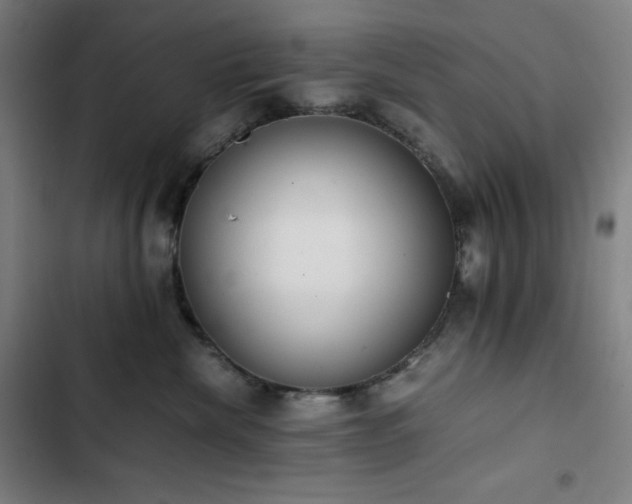 X0000103330476200809051214