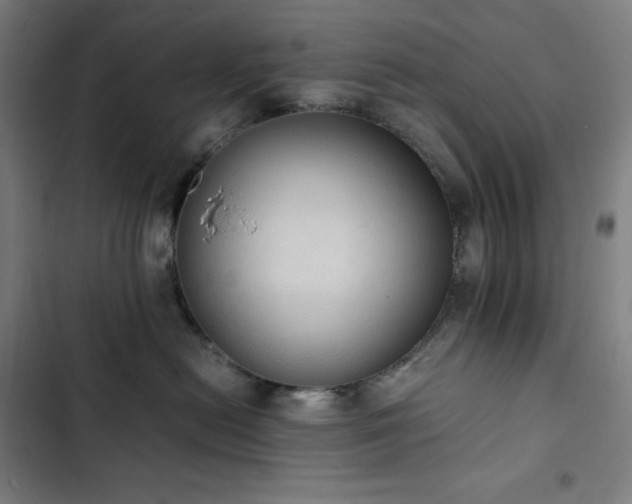 X0000103330478200809051214