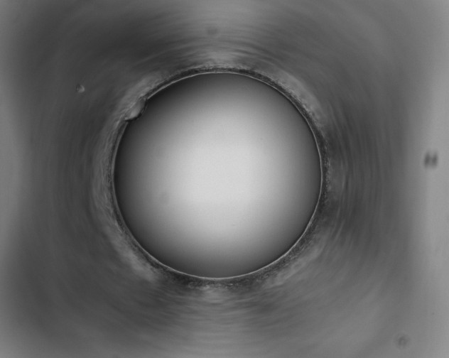 X0000103330481200809051213