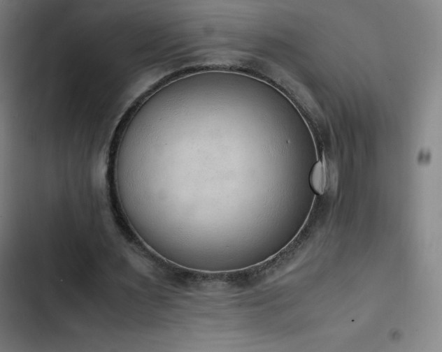 X0000103330483200809051213