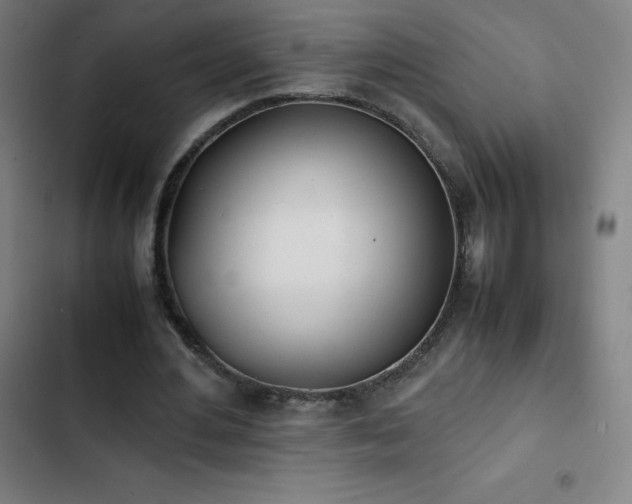 X0000103330484200809051213