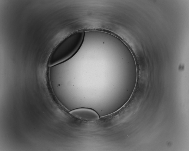 X0000103330485200809051213