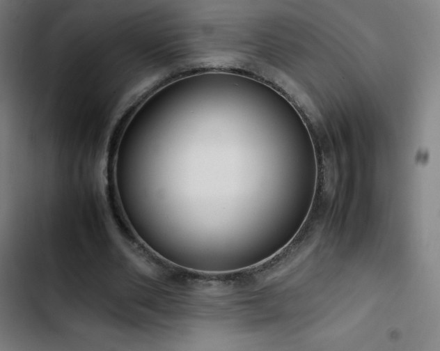 X0000103330486200809051213