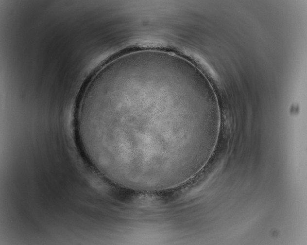 X0000103330487200809051213