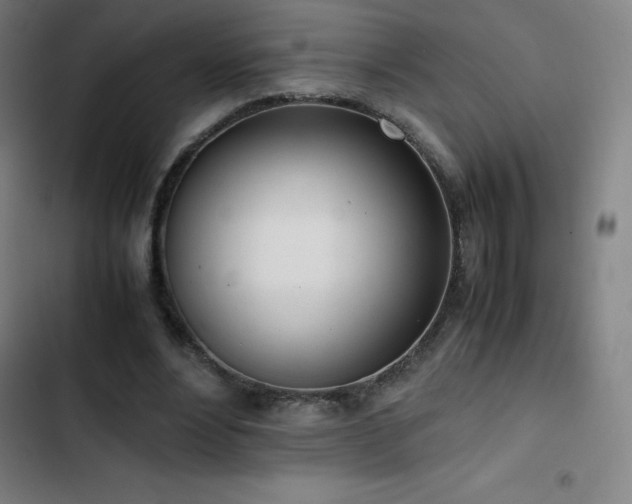 X0000103330488200809051213