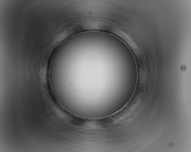 X0000103330489200809051213