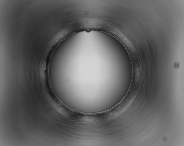 X0000103330490200809051213