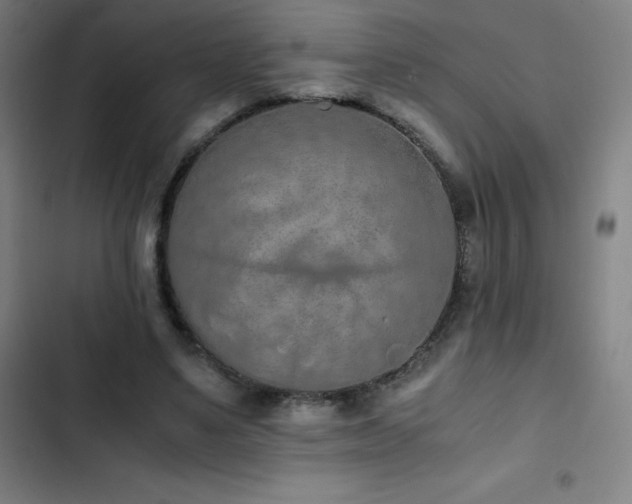 X0000103330491200809051213