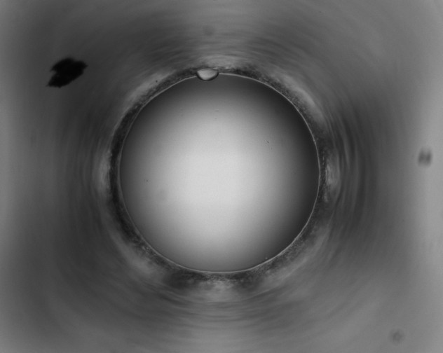 X0000103330492200809051213