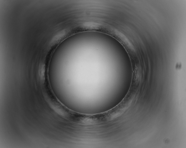 X0000103330494200809051213