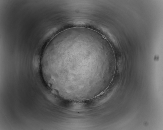 X0000103330495200809051213