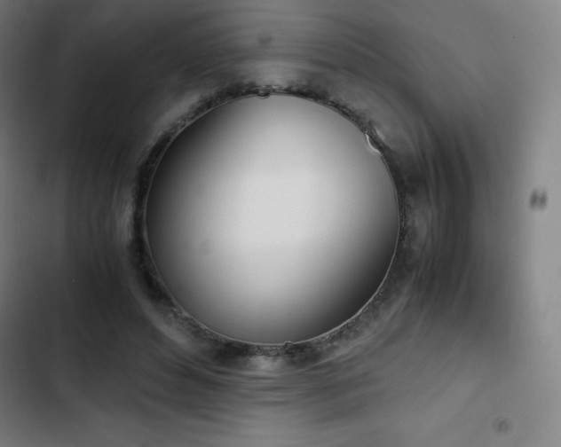 X0000103330496200809051213