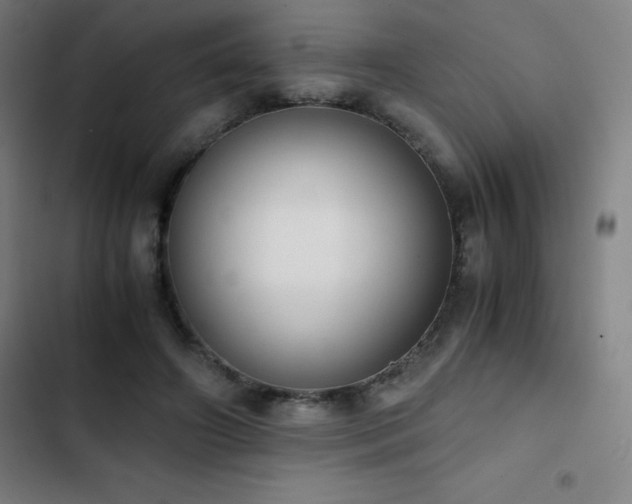 X0000103330498200809051213