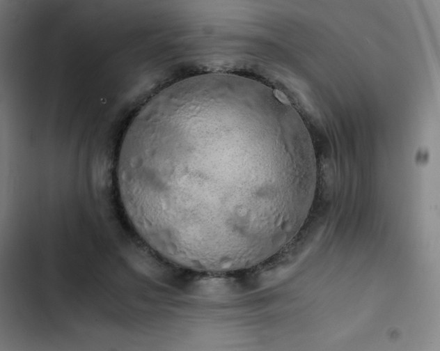 X0000103330499200809051213