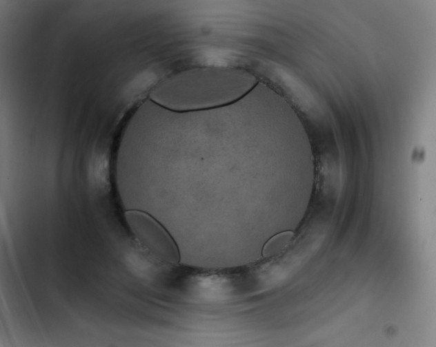 X0000103330500200809051213