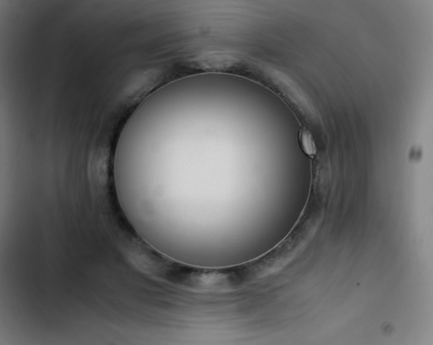 X0000103330501200809051213