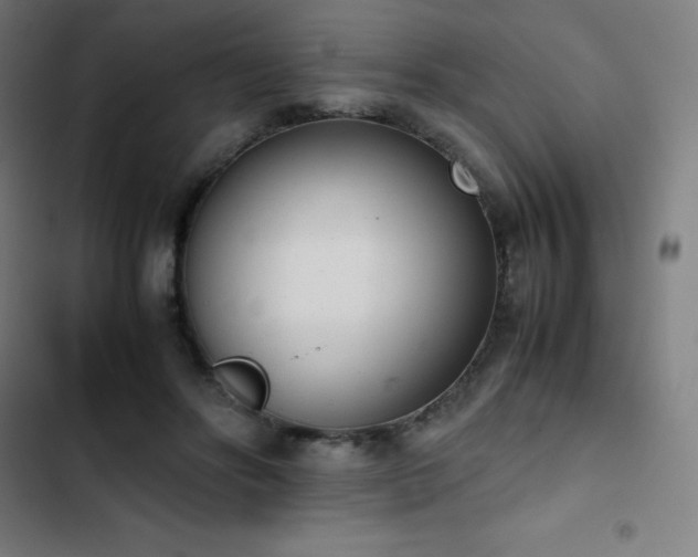 X0000103330502200809051213