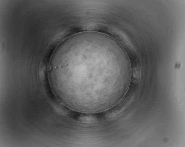 X0000103330503200809051213